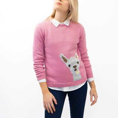 Wood Hill Larry The Llama Pink Jumper - Quality Brands Outlet