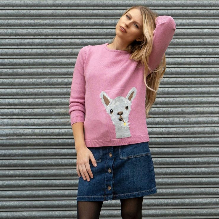 Wood Hill Larry The Llama Pink Jumper - Quality Brands Outlet